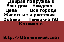 Добрая подружка,в Ваш дом!!!Найдена › Цена ­ 10 - Все города Животные и растения » Собаки   . Ненецкий АО,Коткино с.